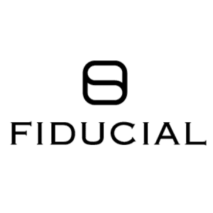Fiducial Cloud